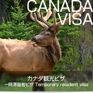 カナダ観光ビザ（一時滞在者ビザ・Temporary resident visa）