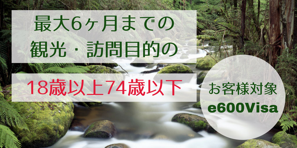 e600ビザ 観光訪問目的・収入を伴わない短期商用目的 18歳以上74才以下の方