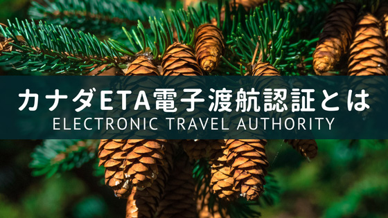 カナダeTA ( Electronic Travel Authority)電子渡航認証ページ用カナダイメージ